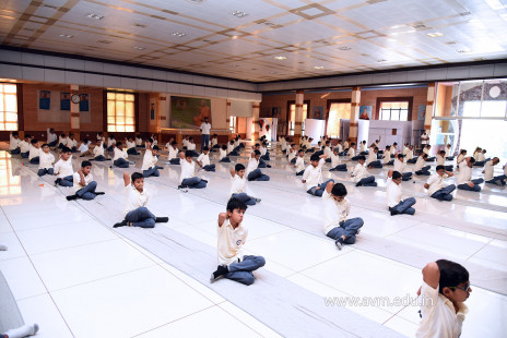 International Day of Yoga 2018 (20)