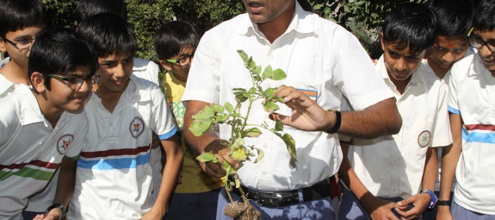 Learning by Farming