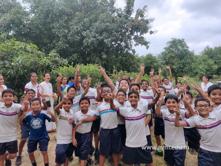 Std 3 & 4 Nature Walk